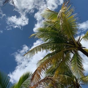 Meet your Posher, Abigail